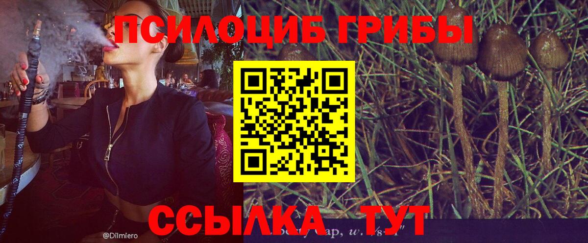 Псилоцибиновые грибы прущие грибы Алейск
